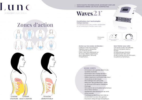 PresentationWAVES PresentationWAVES